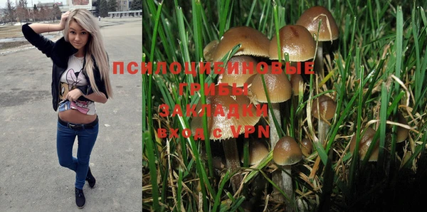PSILOCYBIN Краснослободск